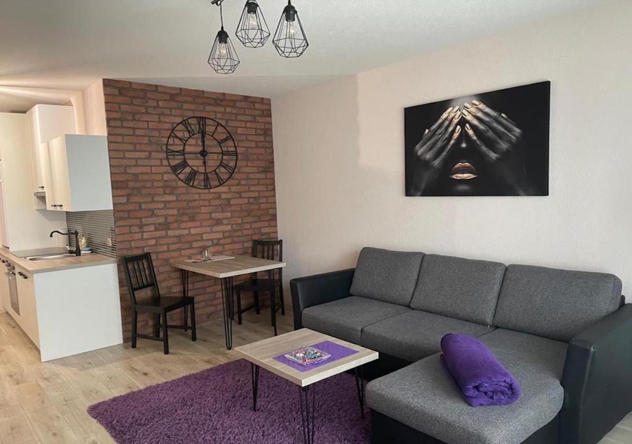 Apartamenty Bartnicza C Bielsko-Biała Exterior photo
